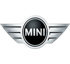 Mini car service and repair 